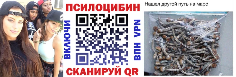 Псилоцибиновые грибы Psilocybine cubensis shop официальный сайт Воркута