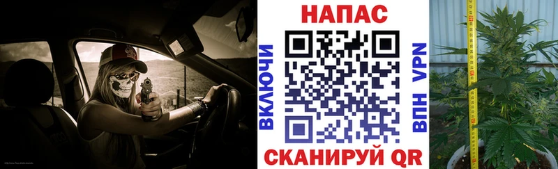Бошки Шишки MAZAR  Воркута 